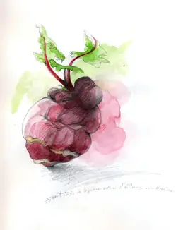 261-legume-etrange.webp