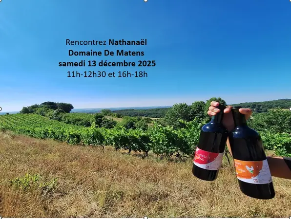 Dégustation Vins De Matens Dégustation Vins De Matens